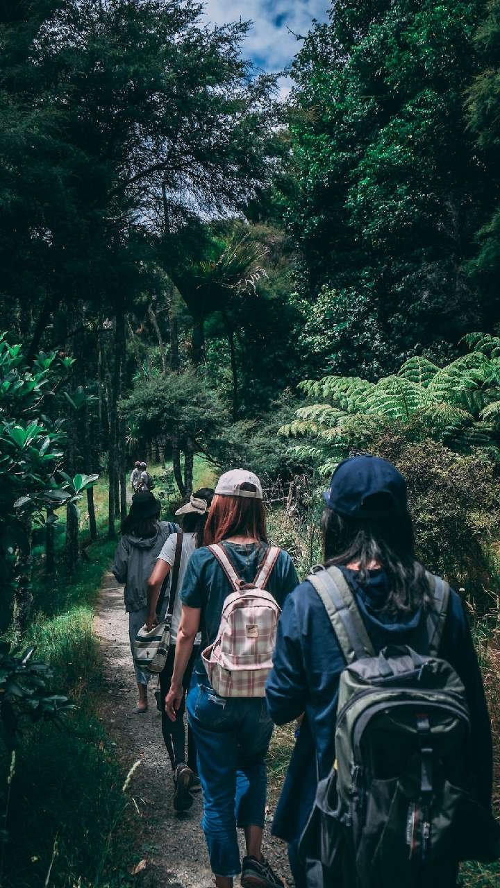 8e459f77 6aac 4bc8 bf02 b0bbf05a6f91