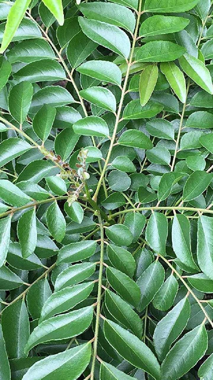 a0fc7468 fff2 4be9 8cc9 047af9f3aaa7